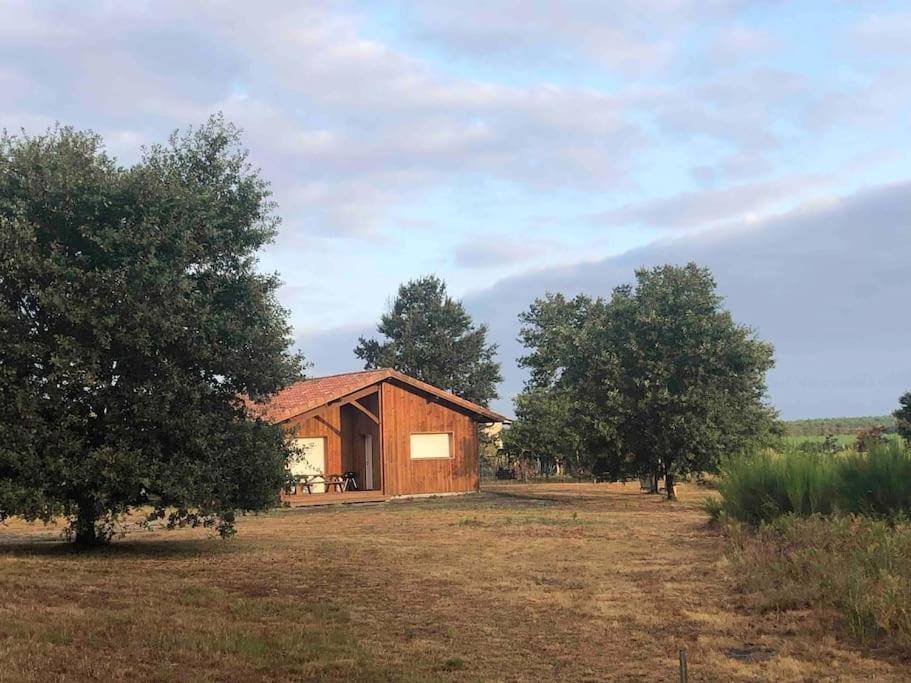 Chez Floflo Villa Rion-Des-Landes Exteriör bild