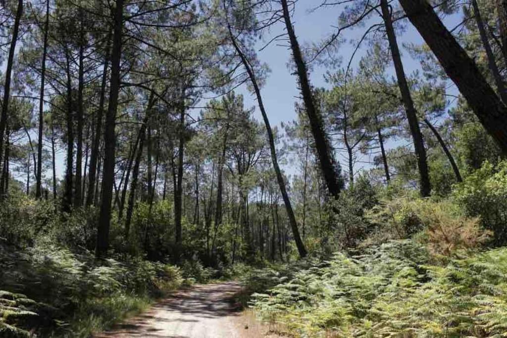Chez Floflo Villa Rion-Des-Landes Exteriör bild
