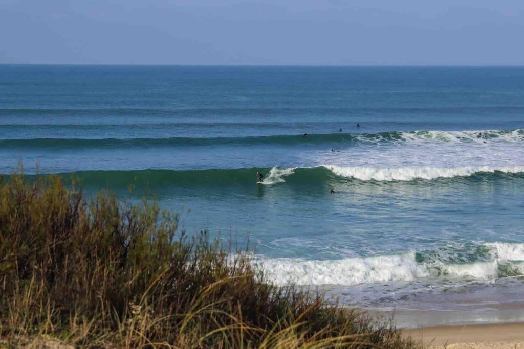 Chez Floflo Villa Rion-Des-Landes Exteriör bild